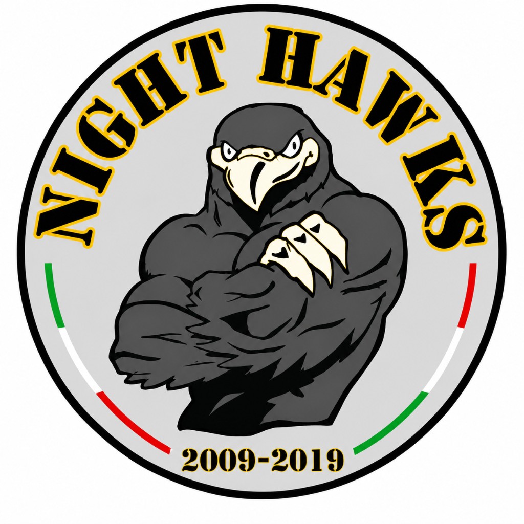 Logo Night Hawks