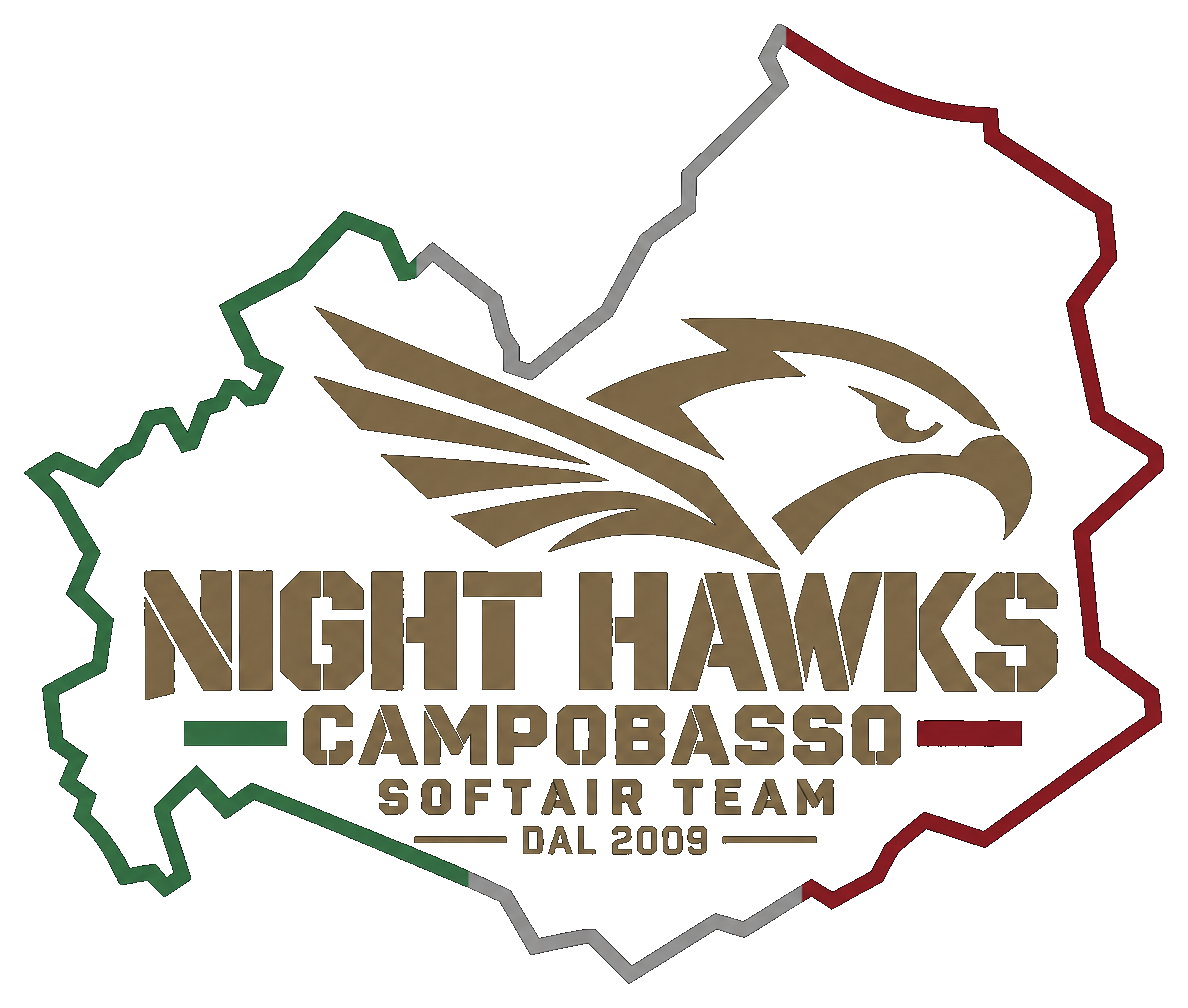 Logo Night Hawks